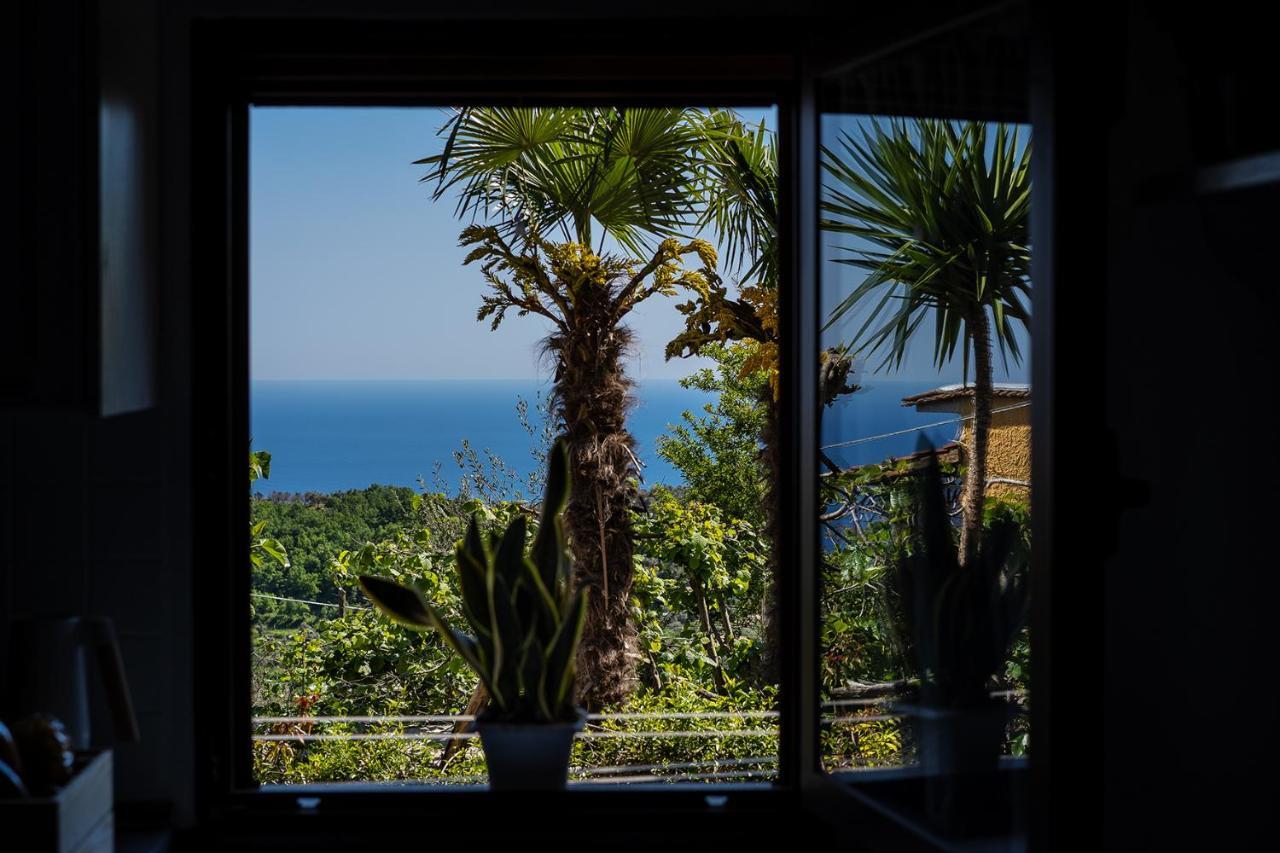 Nonna Carmela Apartment Sant'Agata sui due Golfi Ngoại thất bức ảnh